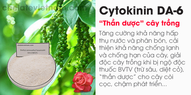 Cytokinin DA-6 98% (Tăng cường sức khỏe cây trồng)